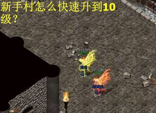 新手村怎么快速升到10级？