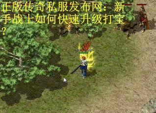 正版传奇私服发布网：新手战士如何快速升级打宝？