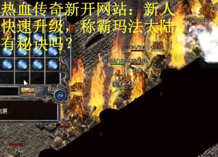 热血传奇新开网站：新人快速升级，称霸玛法大陆有秘诀吗？