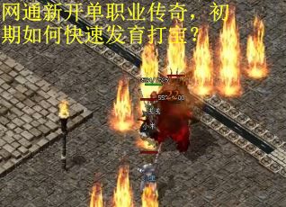 网通新开单职业传奇，初期如何快速发育打宝？