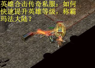 英雄合击传奇私服：如何快速提升英雄等级，称霸玛法大陆？