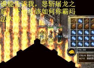 谁能告诉我，怒斩屠龙之后，下一步该如何称霸玛法大陆？