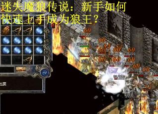 迷失魔狼传说：新手如何快速上手成为狼王？
