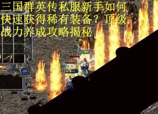 三国群英传私服新手如何快速获得稀有装备？顶级战力养成攻略揭秘