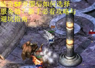传奇SF开服后如何选择服务器？新手必看攻略与避坑指南