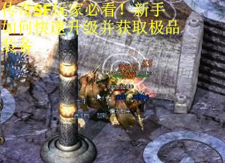 传奇SF玩家必看！新手如何快速升级并获取极品装备