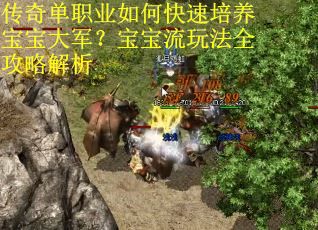 传奇单职业如何快速培养宝宝大军？宝宝流玩法全攻略解析