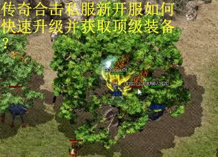 传奇合击私服新开服如何快速升级并获取顶级装备？