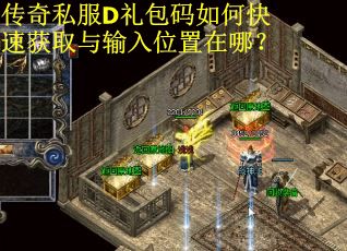 传奇私服D礼包码如何快速获取与输入位置在哪？