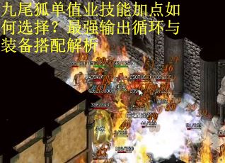 九尾狐单值业技能加点如何选择？最强输出循环与装备搭配解析