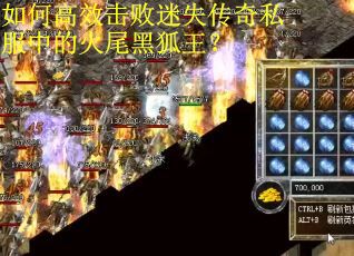 如何高效击败迷失传奇私服中的火尾黑狐王？
