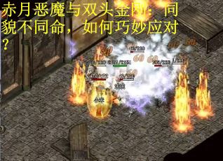 赤月恶魔与双头金刚：同貌不同命，如何巧妙应对？