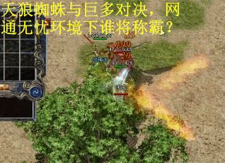 天狼蜘蛛与巨多对决，网通无忧环境下谁将称霸？