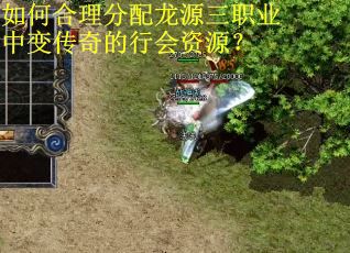 如何合理分配龙源三职业中变传奇的行会资源？
