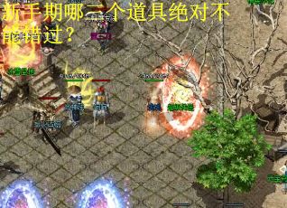 新手期哪三个道具绝对不能错过?