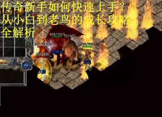 传奇新手如何快速上手?从小白到老鸟的成长攻略全解析 传奇新手如何快速上手?从小白到老鸟的成长攻略全解析