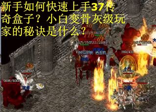 新手如何快速上手37传奇盒子？小白变骨灰级玩家的秘诀是什么？