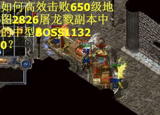 如何高效击败650级地图2826屠龙戮副本中的中型BOSS11320？