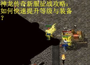 神龙传奇新服征战攻略：如何快速提升等级与装备？