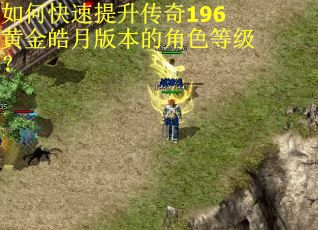 如何快速提升传奇196黄金皓月版本的角色等级? 如何快速提升传奇196黄金皓月版本的角色等级?