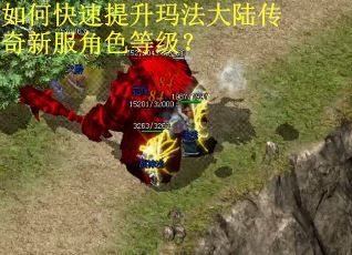 如何快速提升玛法大陆传奇新服角色等级？