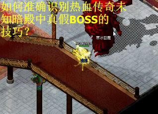 如何准确识别热血传奇未知暗殿中真假BOSS的技巧？