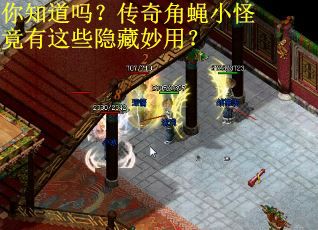 你知道吗？传奇角蝇小怪竟有这些隐藏妙用？