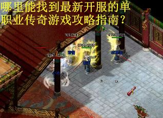 哪里能找到最新开服的单职业传奇游戏攻略指南？