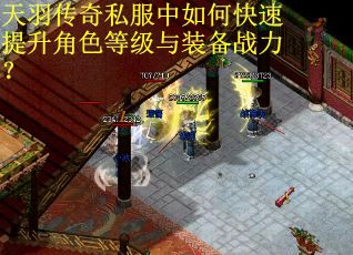 天羽传奇私服中如何快速提升角色等级与装备战力？