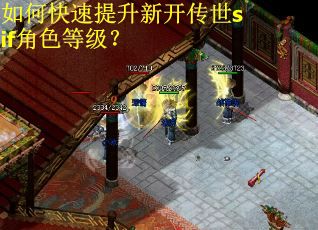 如何快速提升新开传世sif角色等级？