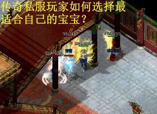 传奇私服玩家如何选择最适合自己的宝宝? 传奇私服玩家如何选择最适合自己的宝宝?